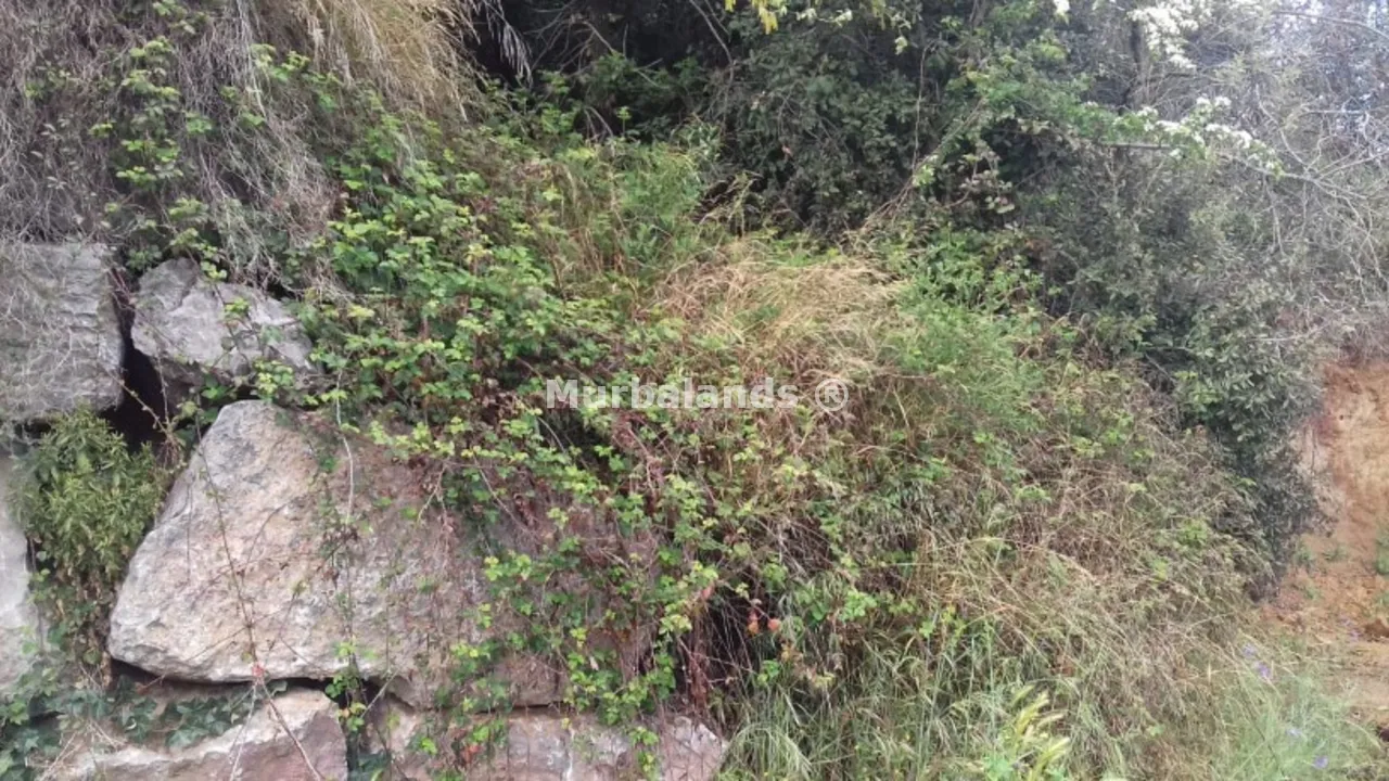 Foto de un terreno o una obra parada para mostrar en el detalle del inmueble