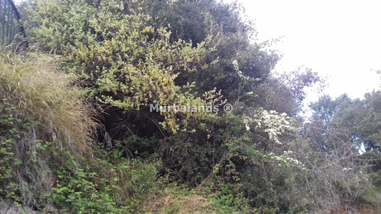 Foto de un terreno o una obra parada para mostrar en el detalle del inmueble