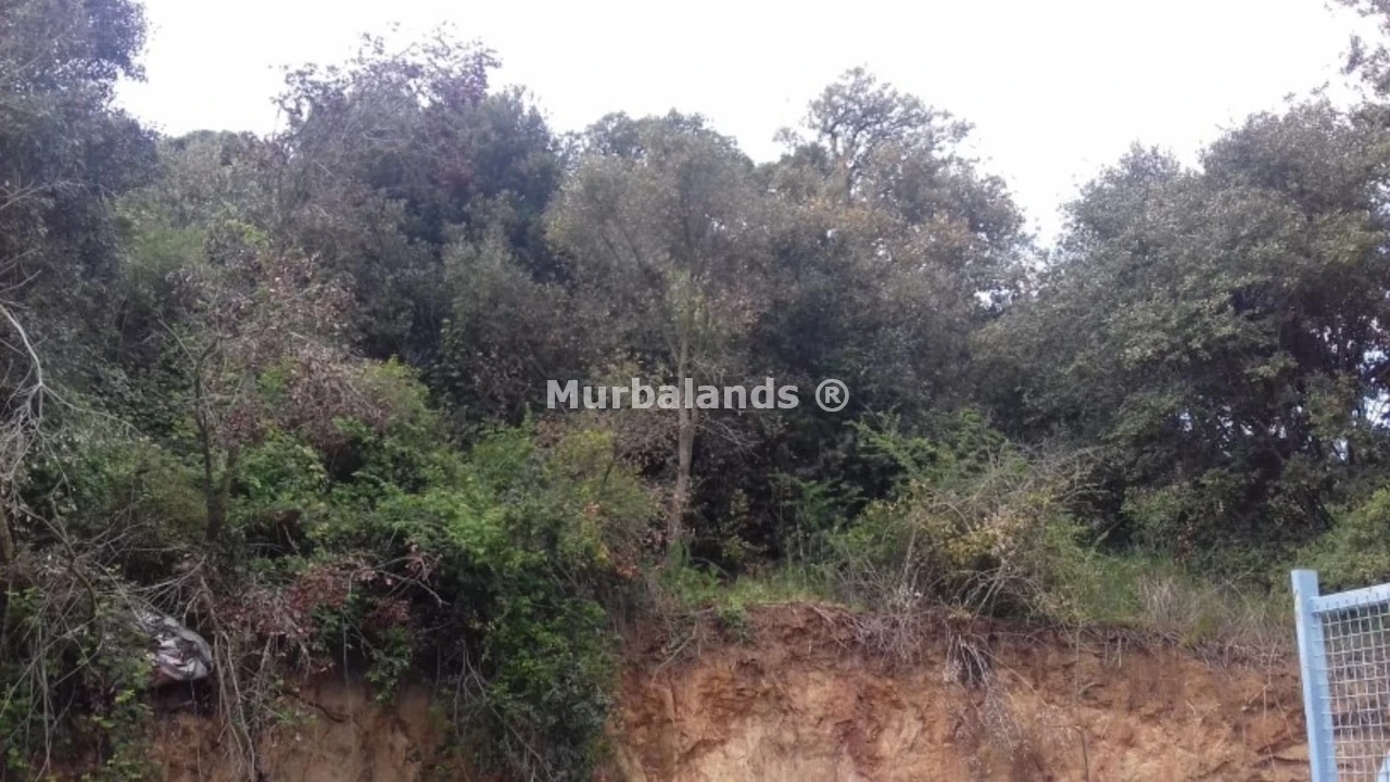 Foto de un terreno o una obra parada para mostrar en el detalle del inmueble