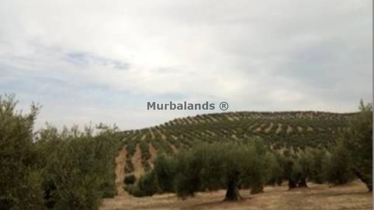 Foto de un terreno o una obra parada para mostrar en el detalle del inmueble