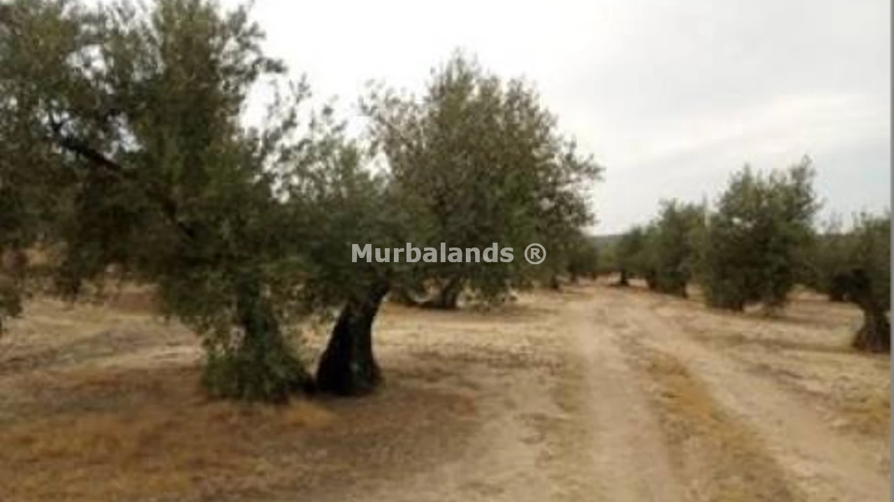 Foto de un terreno o una obra parada para mostrar en el detalle del inmueble