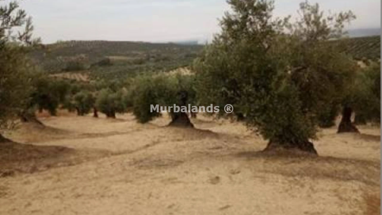 Foto de un terreno o una obra parada para mostrar en el detalle del inmueble