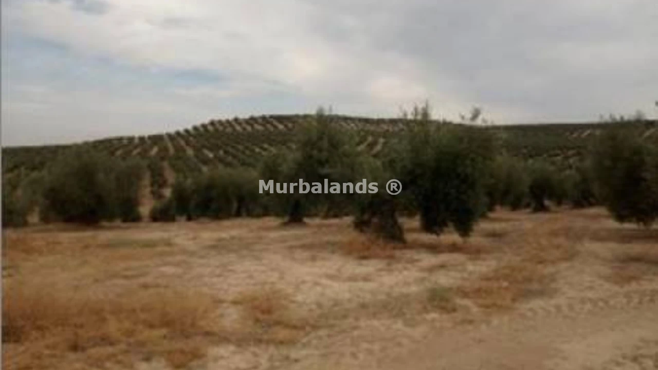 Foto de un terreno o una obra parada para mostrar en el detalle del inmueble