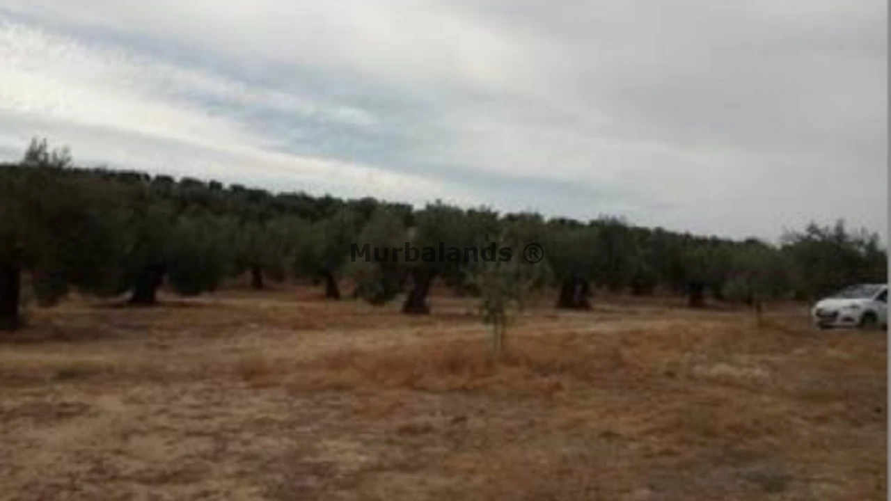 Foto de un terreno o una obra parada para mostrar en el detalle del inmueble