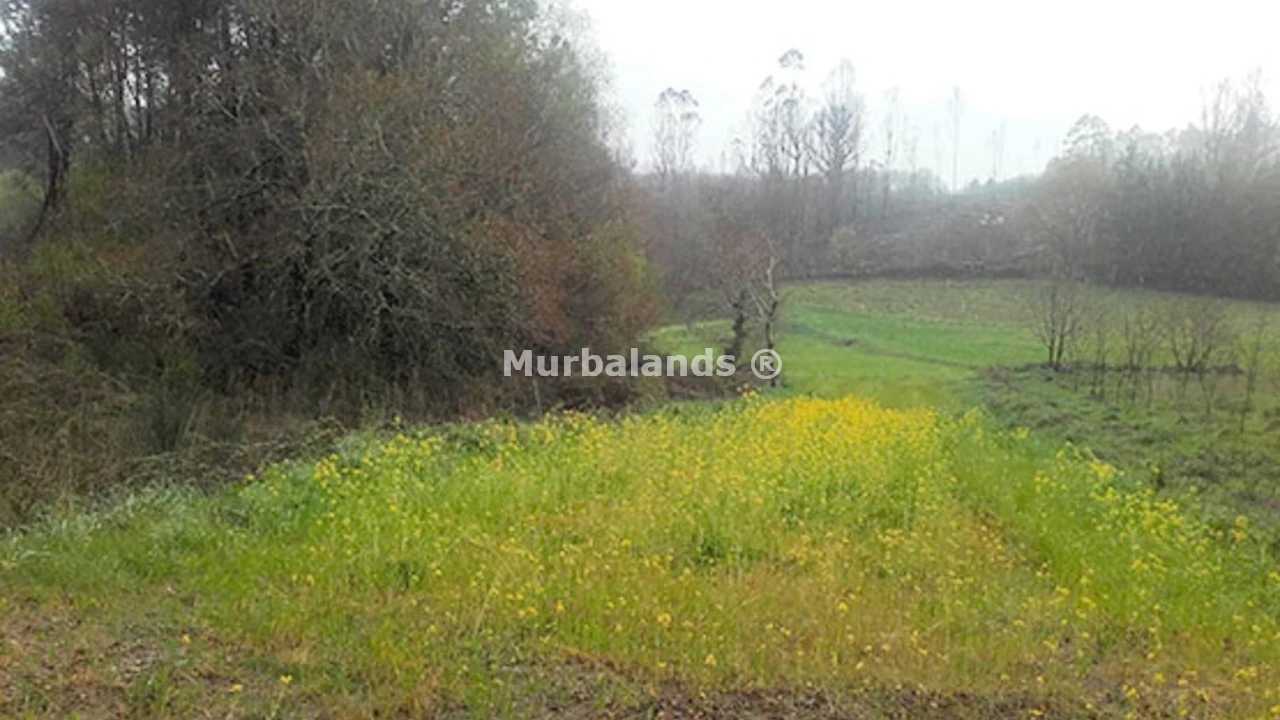 Foto de un terreno o una obra parada para mostrar en el detalle del inmueble