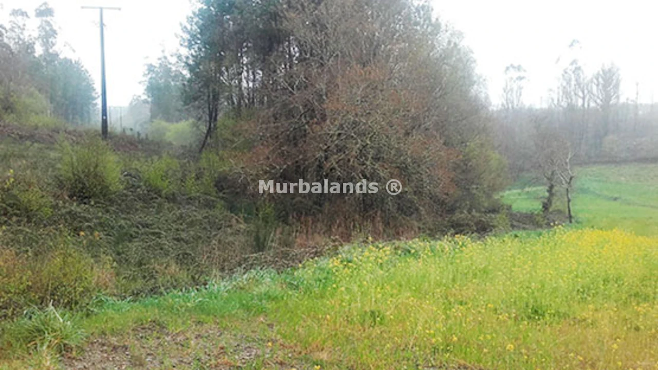 Foto de un terreno o una obra parada para mostrar en el detalle del inmueble