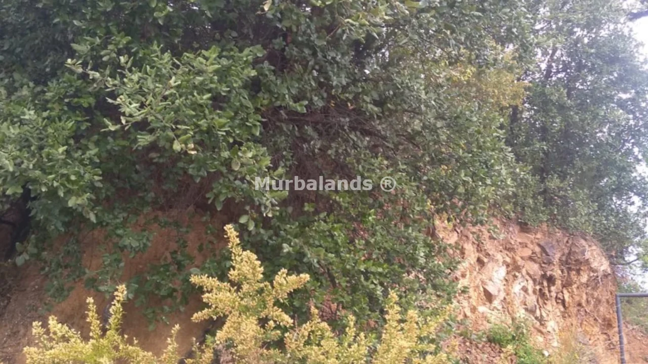 Foto de un terreno o una obra parada para mostrar en el detalle del inmueble