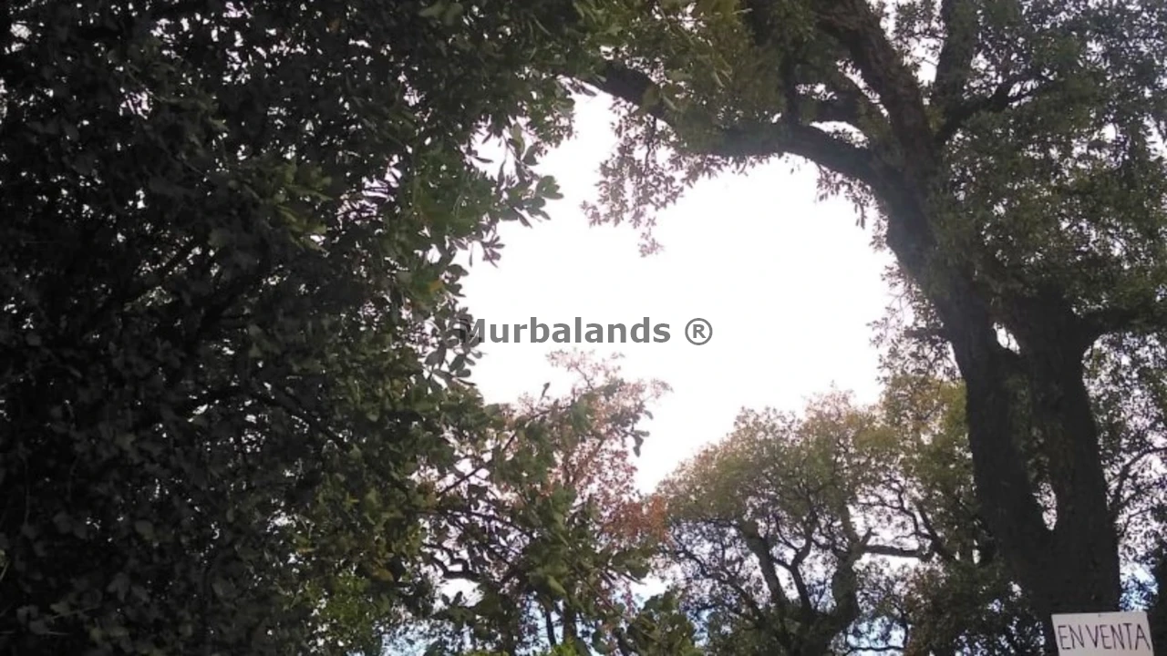 Foto de un terreno o una obra parada para mostrar en el detalle del inmueble