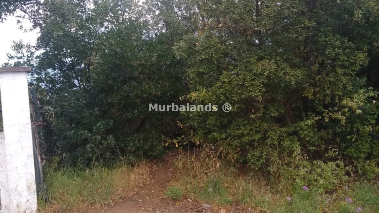 Foto de un terreno o una obra parada para mostrar en el detalle del inmueble