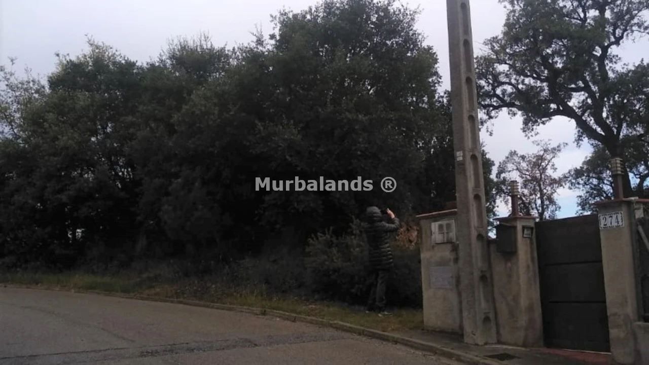 Foto de un terreno o una obra parada para mostrar en el detalle del inmueble