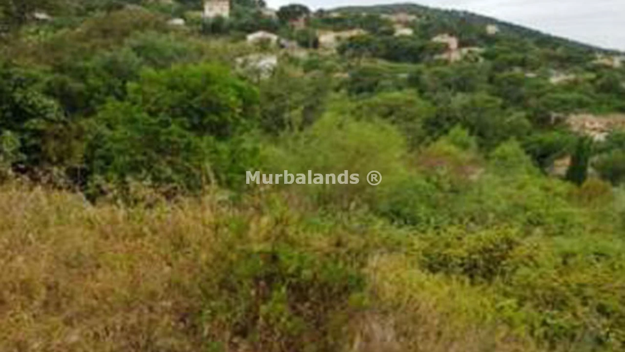 Foto de un terreno o una obra parada para mostrar en el detalle del inmueble
