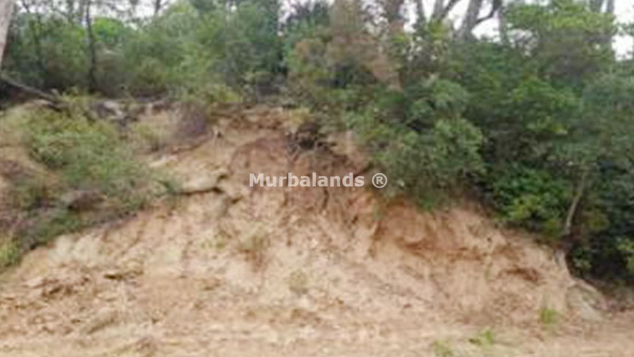 Foto de un terreno o una obra parada para mostrar en el detalle del inmueble
