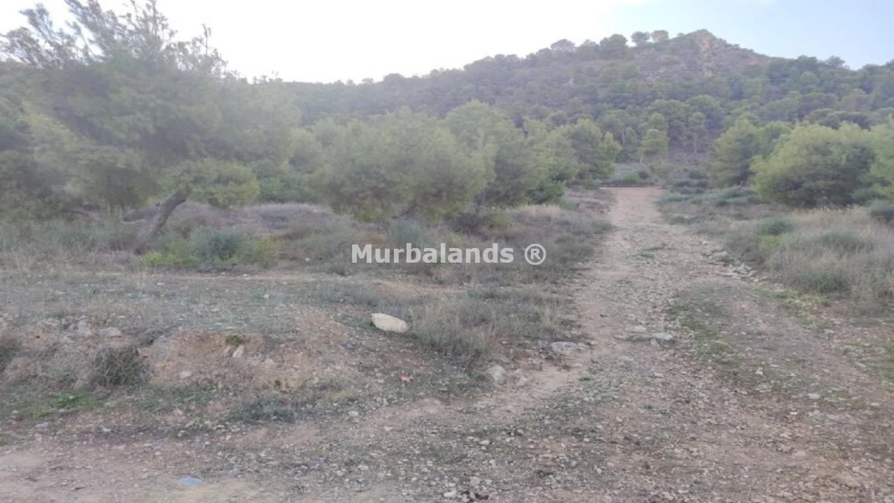 Foto de un terreno o una obra parada para mostrar en el detalle del inmueble