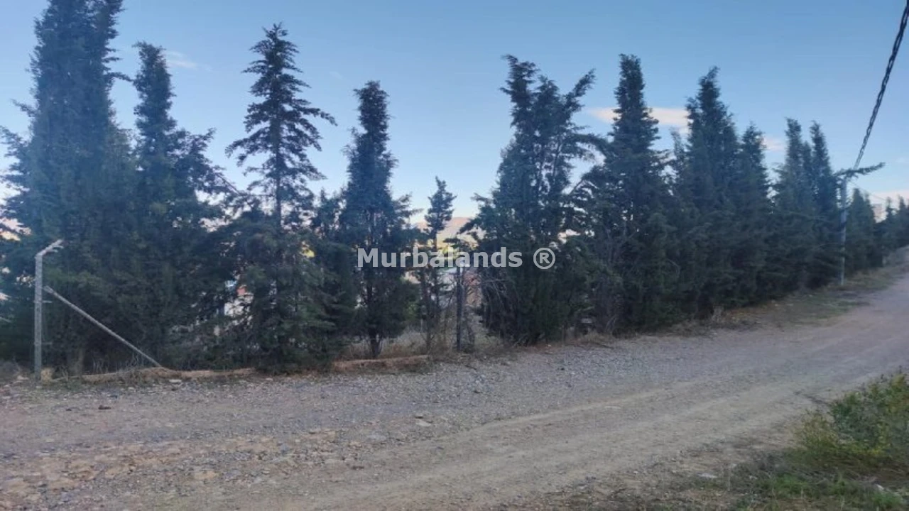 Foto de un terreno o una obra parada para mostrar en el detalle del inmueble