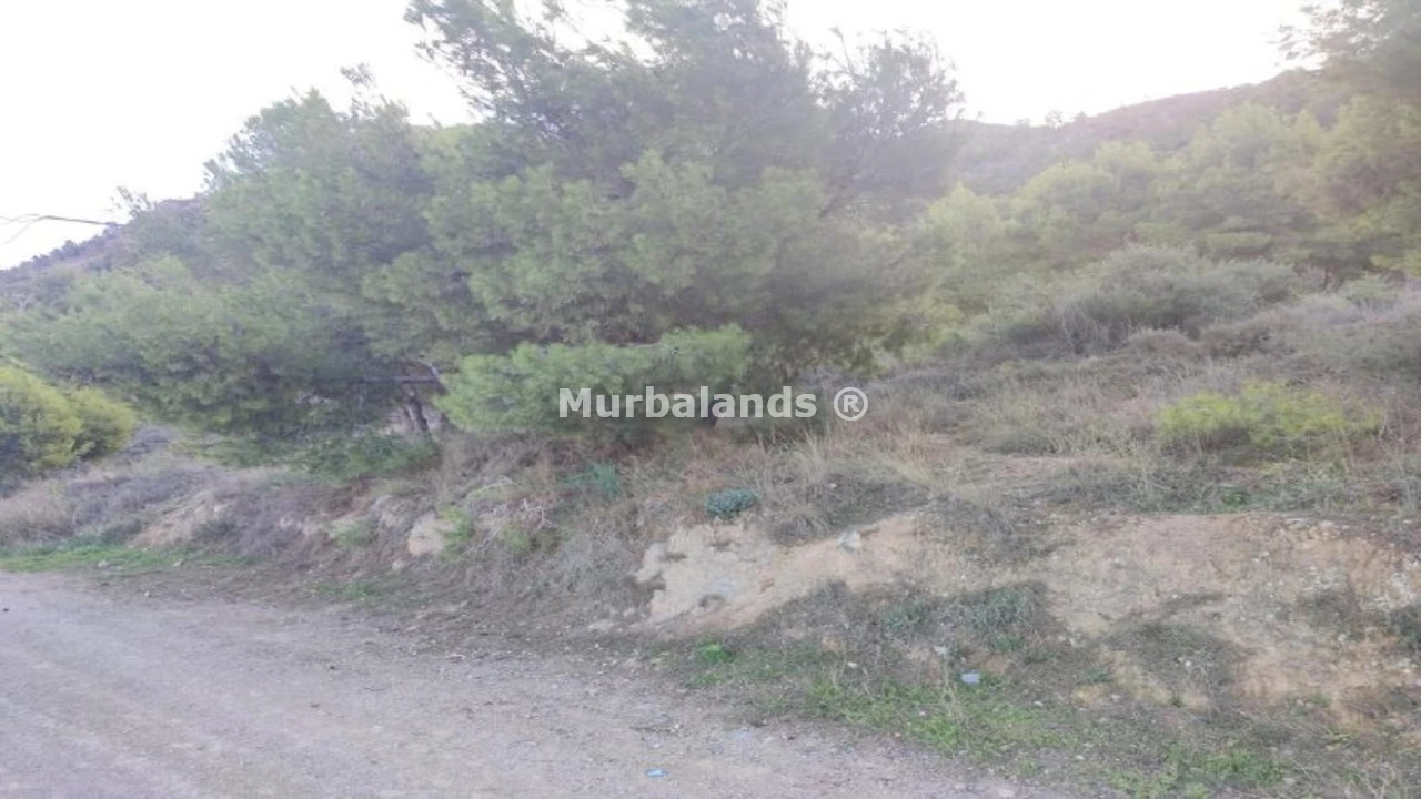 Foto de un terreno o una obra parada para mostrar en el detalle del inmueble