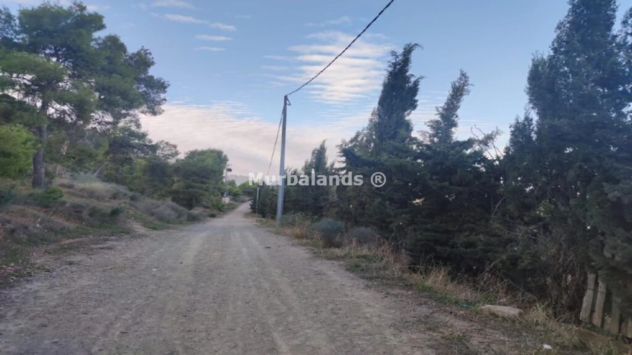 Foto de un terreno o una obra parada para mostrar en el detalle del inmueble