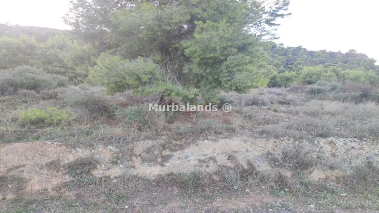 Foto de un terreno o una obra parada para mostrar en el detalle del inmueble