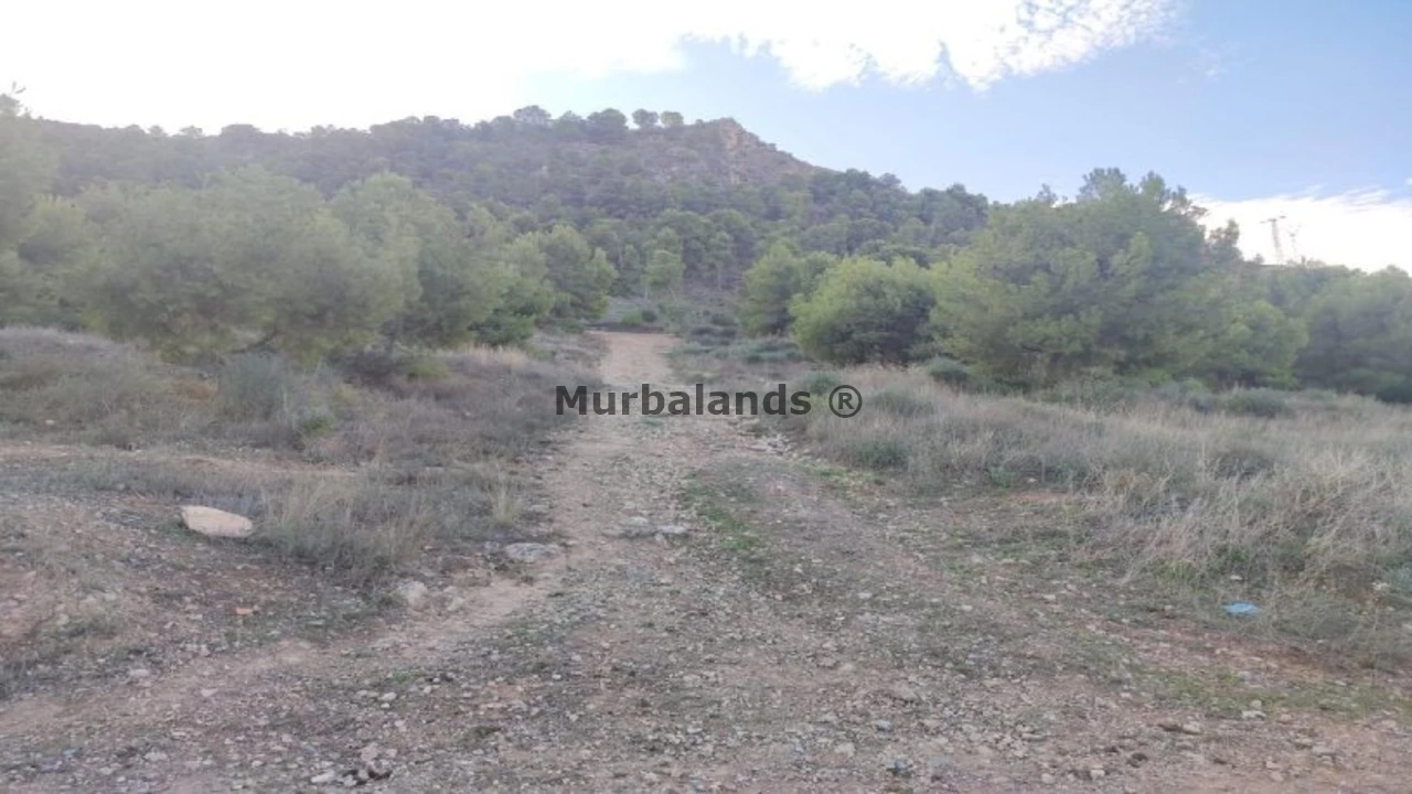 Foto de un terreno o una obra parada para mostrar en el detalle del inmueble
