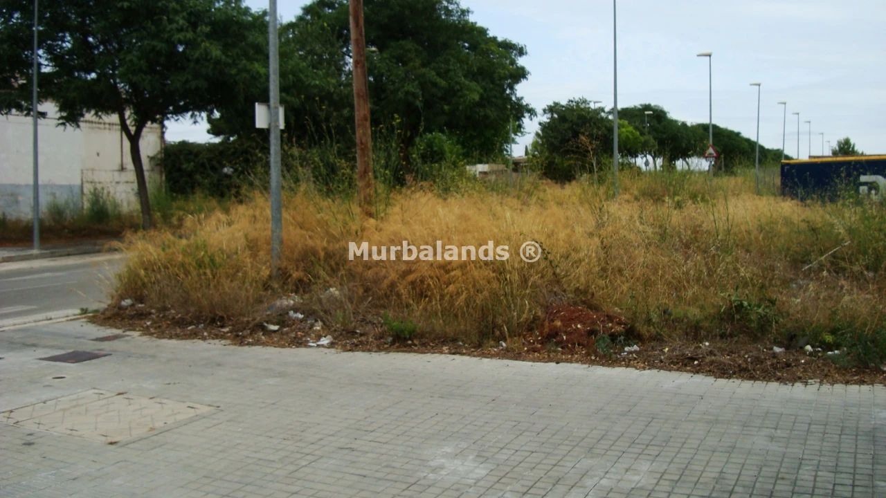 Foto 5 del terreno Ref. 00001644