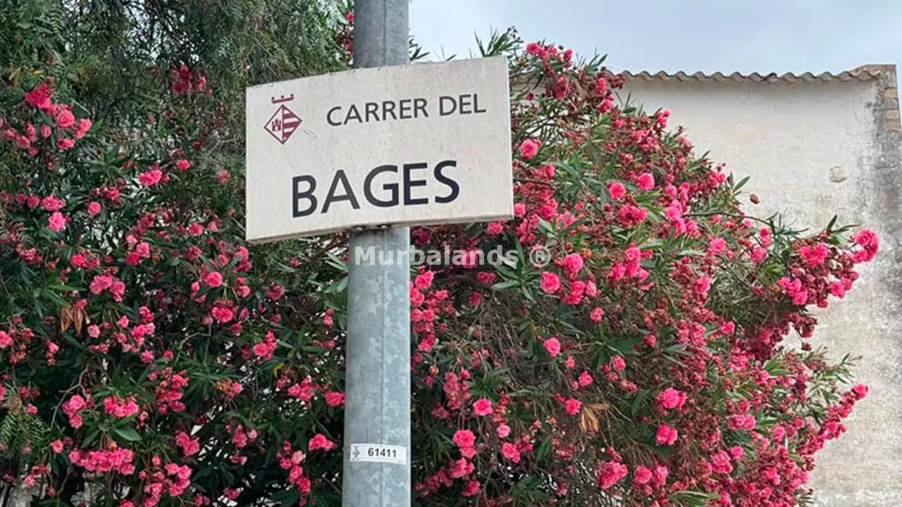 Foto de un terreno o una obra parada para mostrar en el detalle del inmueble