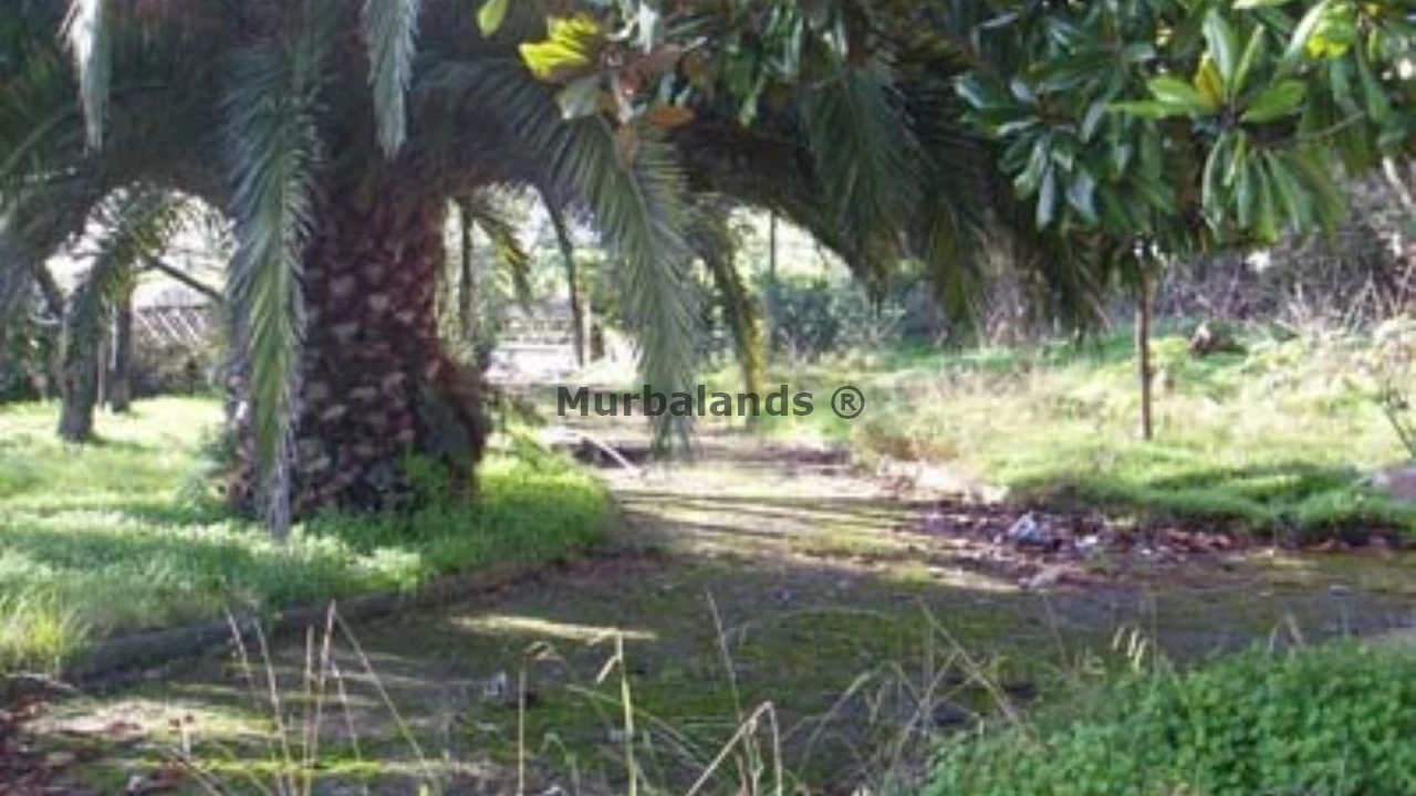 Foto de un terreno o una obra parada para mostrar en el detalle del inmueble