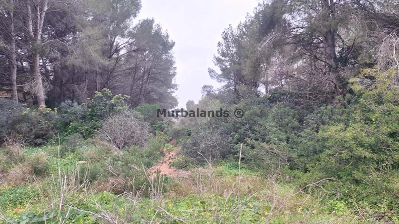 Terreno destacado