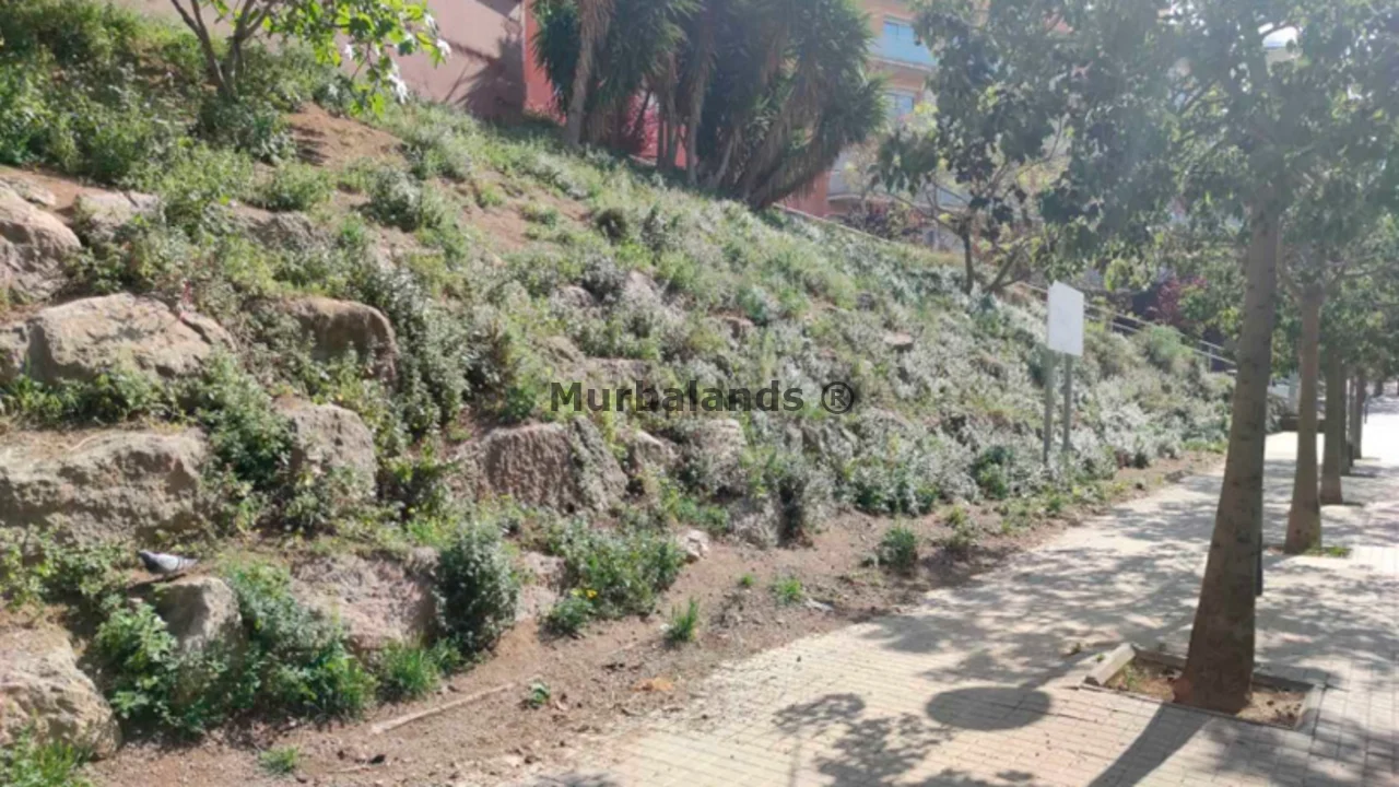 Terreno destacado