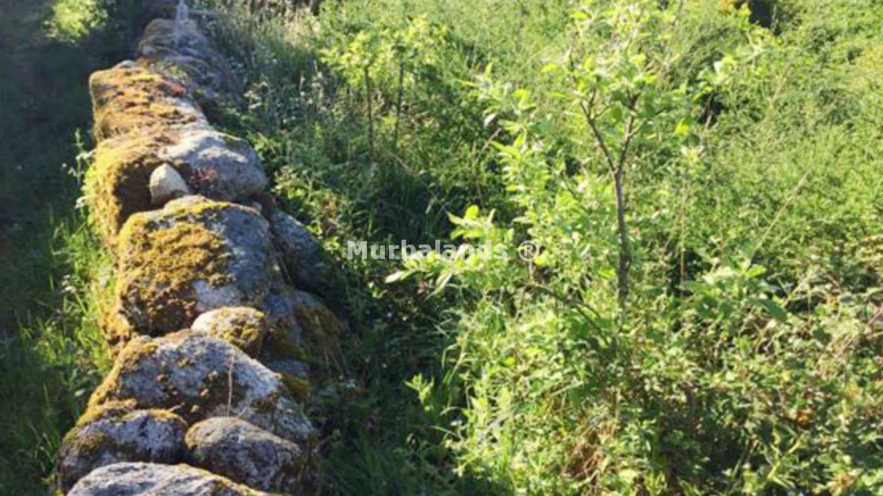 Foto de un terreno o una obra parada para mostrar en el detalle del inmueble