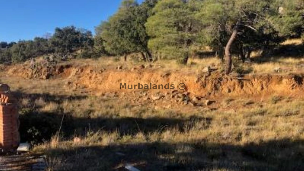 Foto de un terreno o una obra parada para mostrar en el detalle del inmueble
