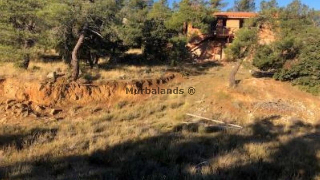 Foto de un terreno o una obra parada para mostrar en el detalle del inmueble