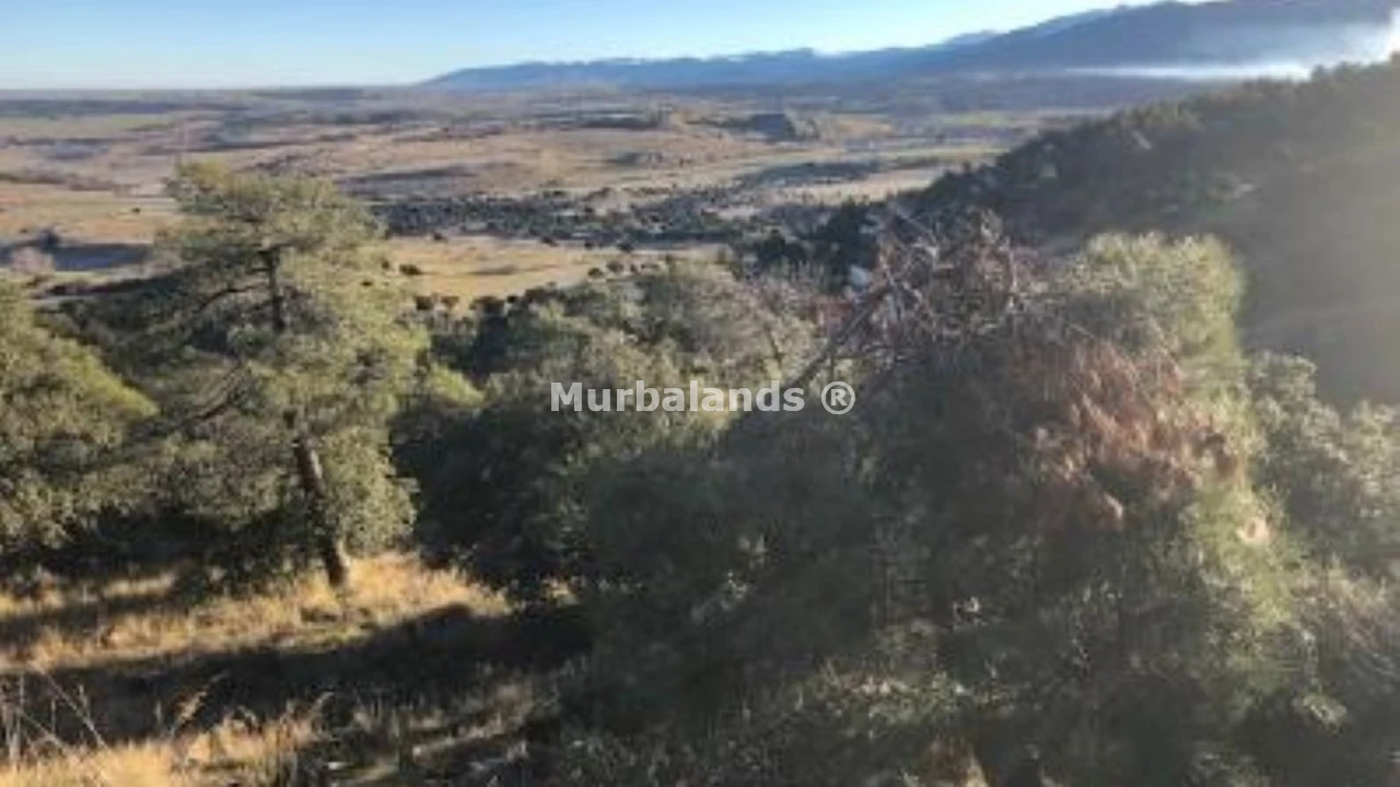 Foto de un terreno o una obra parada para mostrar en el detalle del inmueble