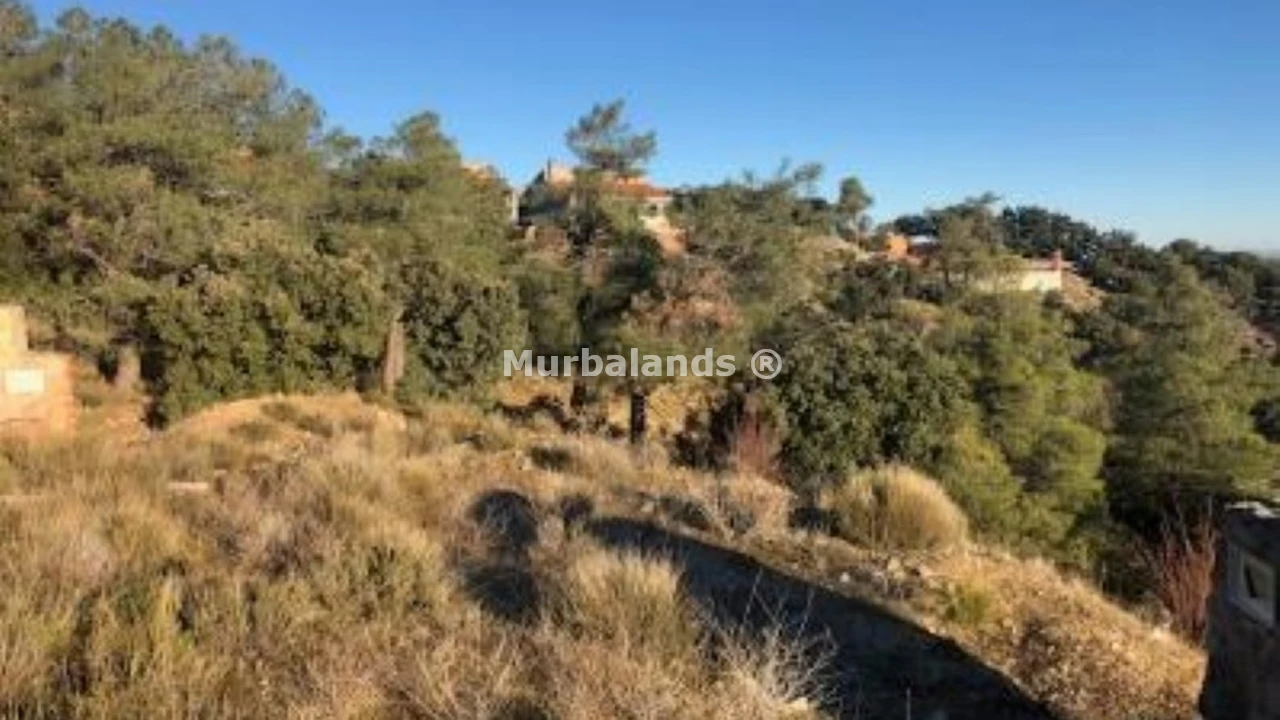 Foto de un terreno o una obra parada para mostrar en el detalle del inmueble