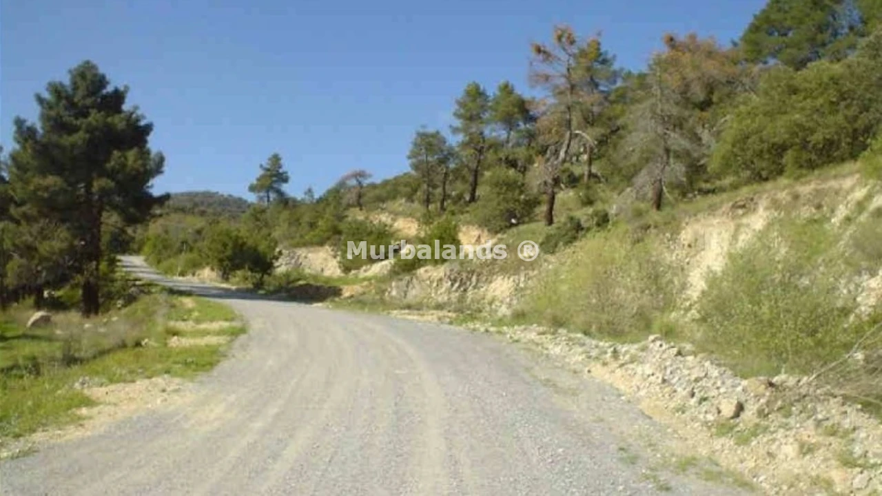 Foto de un terreno o una obra parada para mostrar en el detalle del inmueble