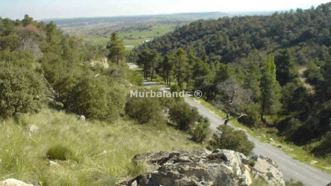 Foto de un terreno o una obra parada para mostrar en el detalle del inmueble