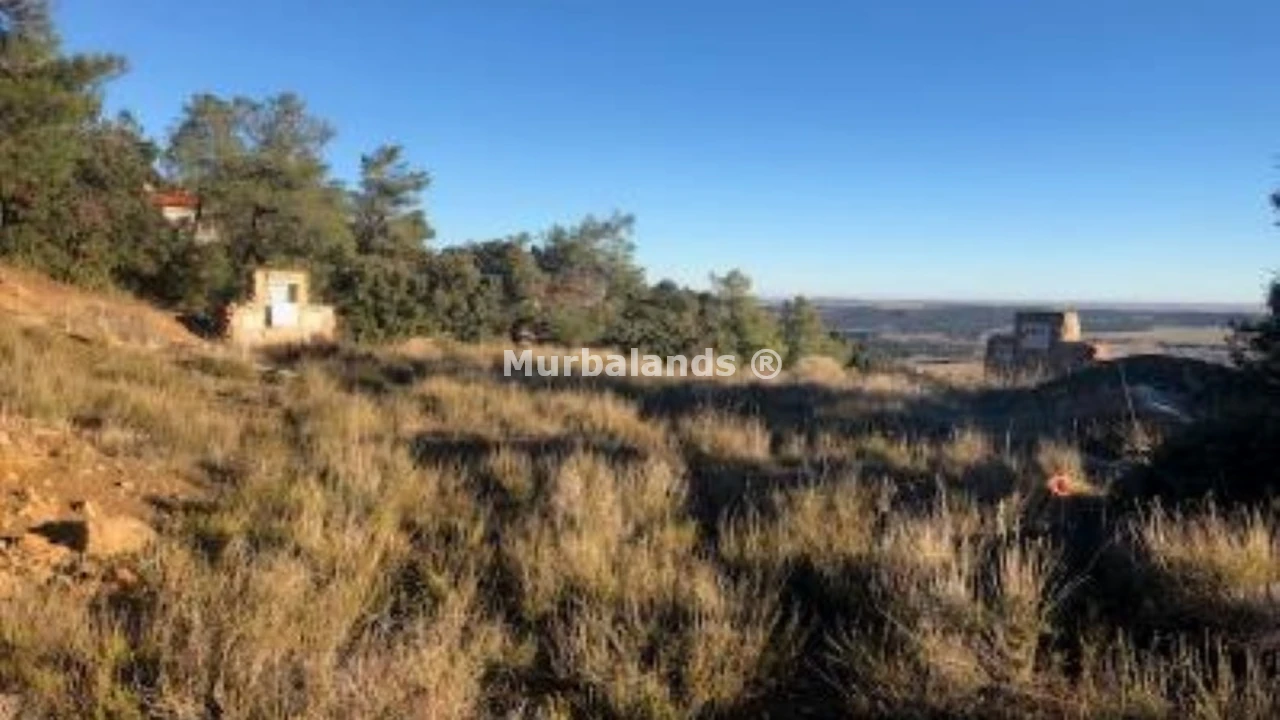 Foto de un terreno o una obra parada para mostrar en el detalle del inmueble