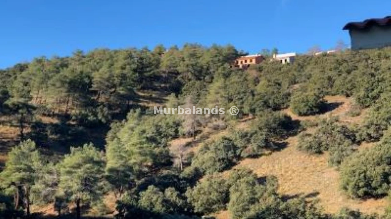 Foto de un terreno o una obra parada para mostrar en el detalle del inmueble