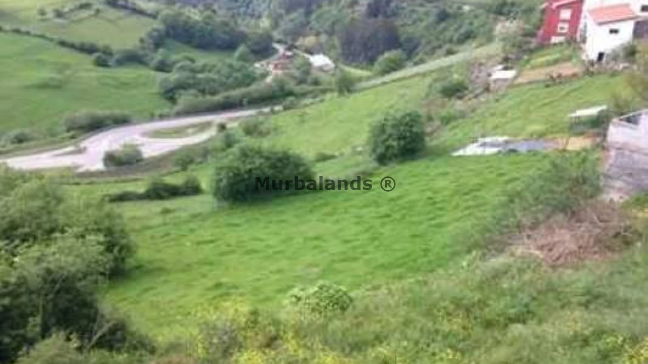 Foto de un terreno o una obra parada para mostrar en el detalle del inmueble