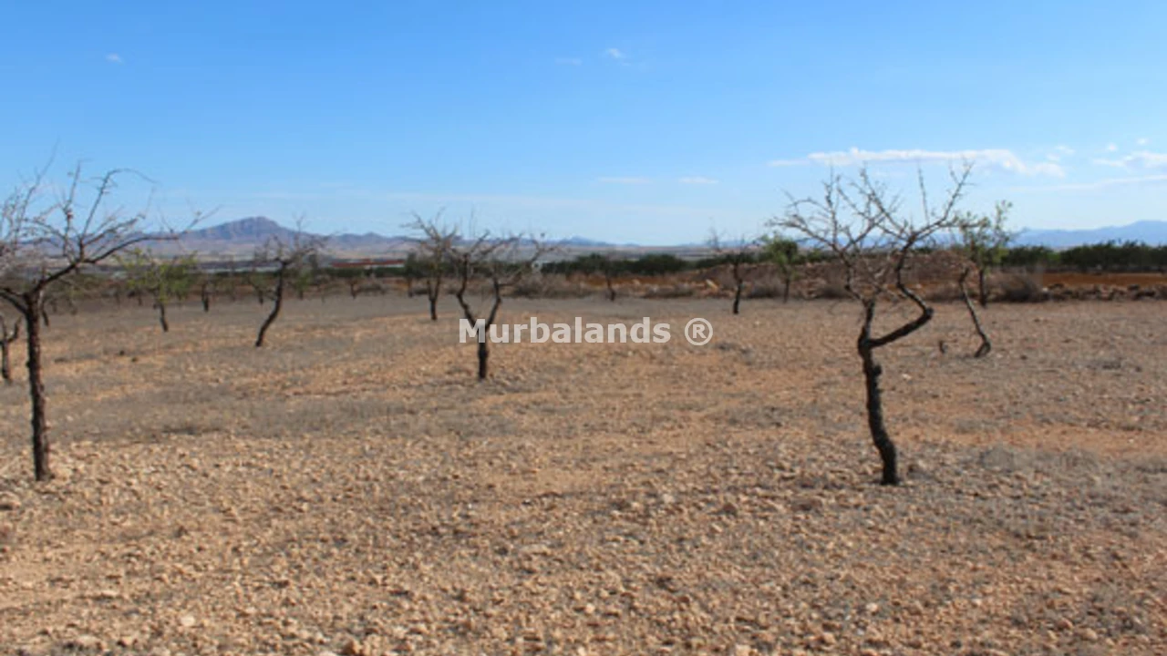 Foto de un terreno o una obra parada para mostrar en el detalle del inmueble