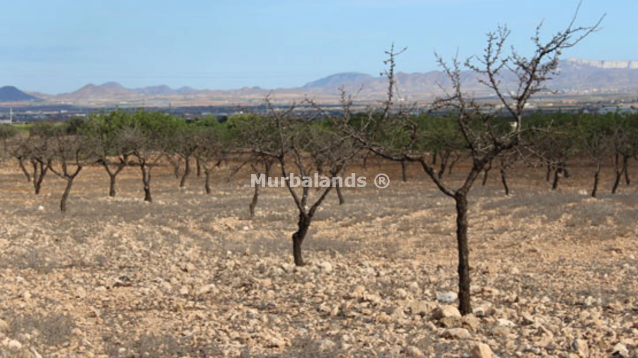Terreno destacado