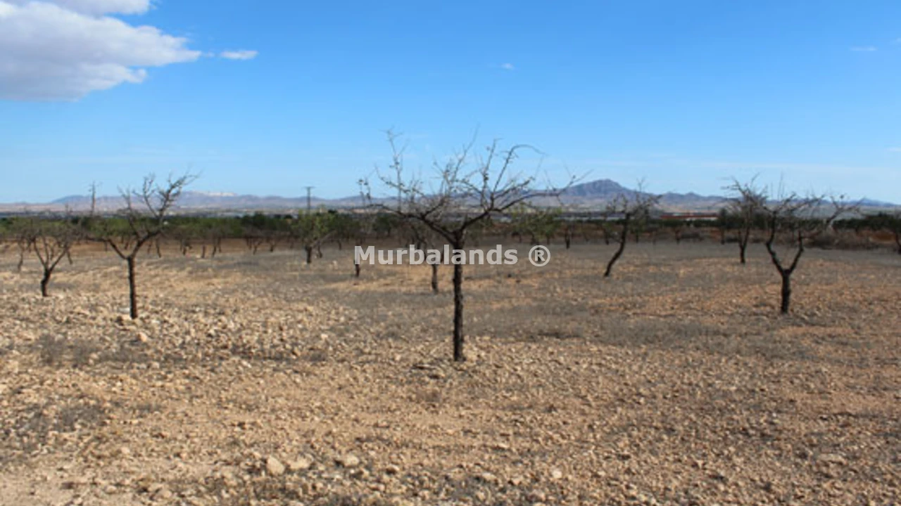 Foto de un terreno o una obra parada para mostrar en el detalle del inmueble