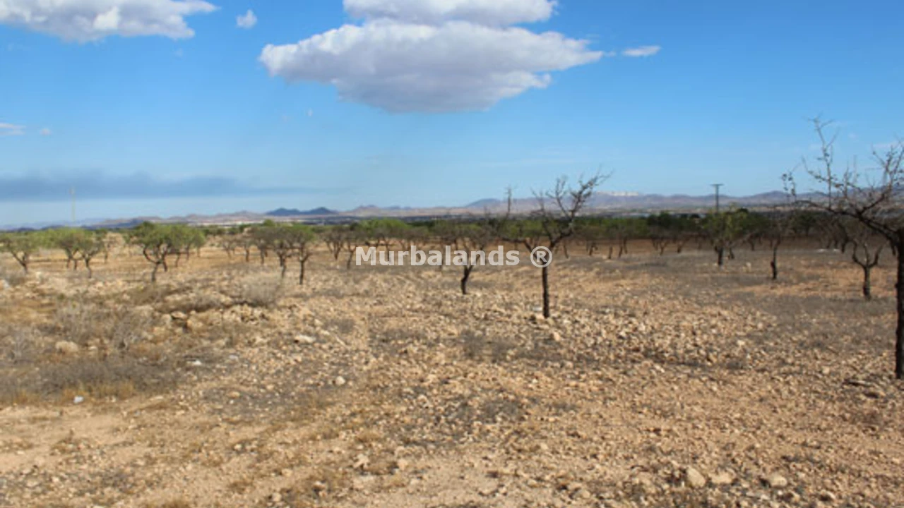 Foto de un terreno o una obra parada para mostrar en el detalle del inmueble