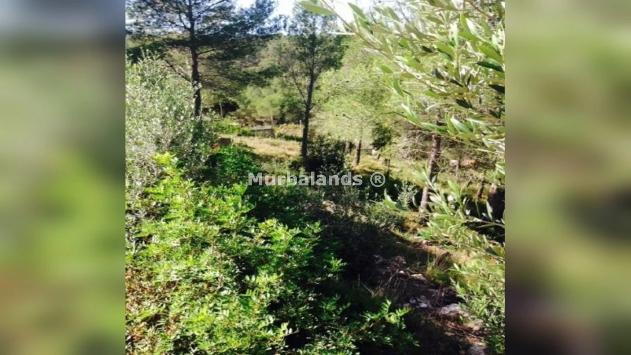 Foto de un terreno o una obra parada para mostrar en el detalle del inmueble