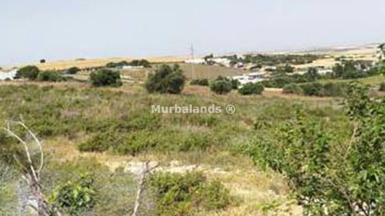 Foto de un terreno o una obra parada para mostrar en el detalle del inmueble