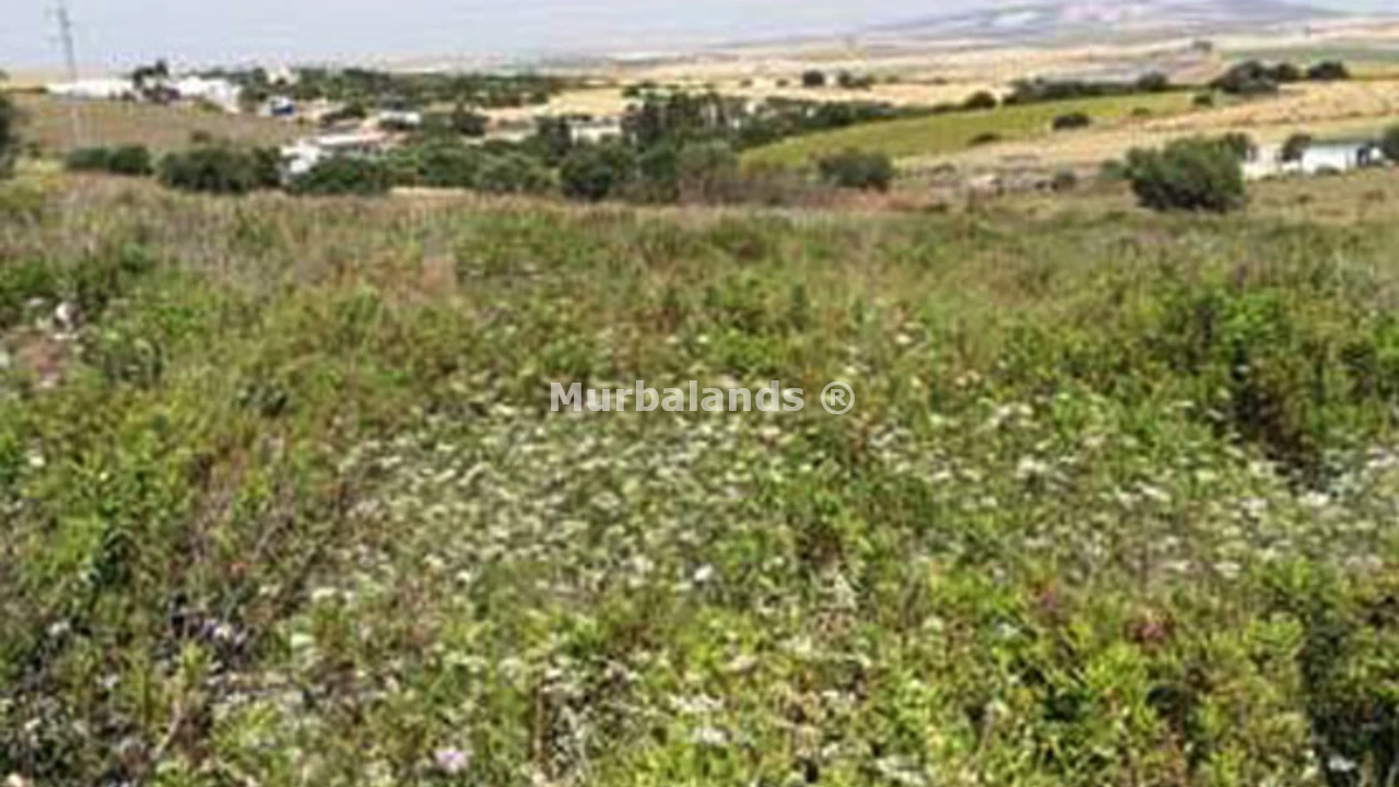 Foto de un terreno o una obra parada para mostrar en el detalle del inmueble