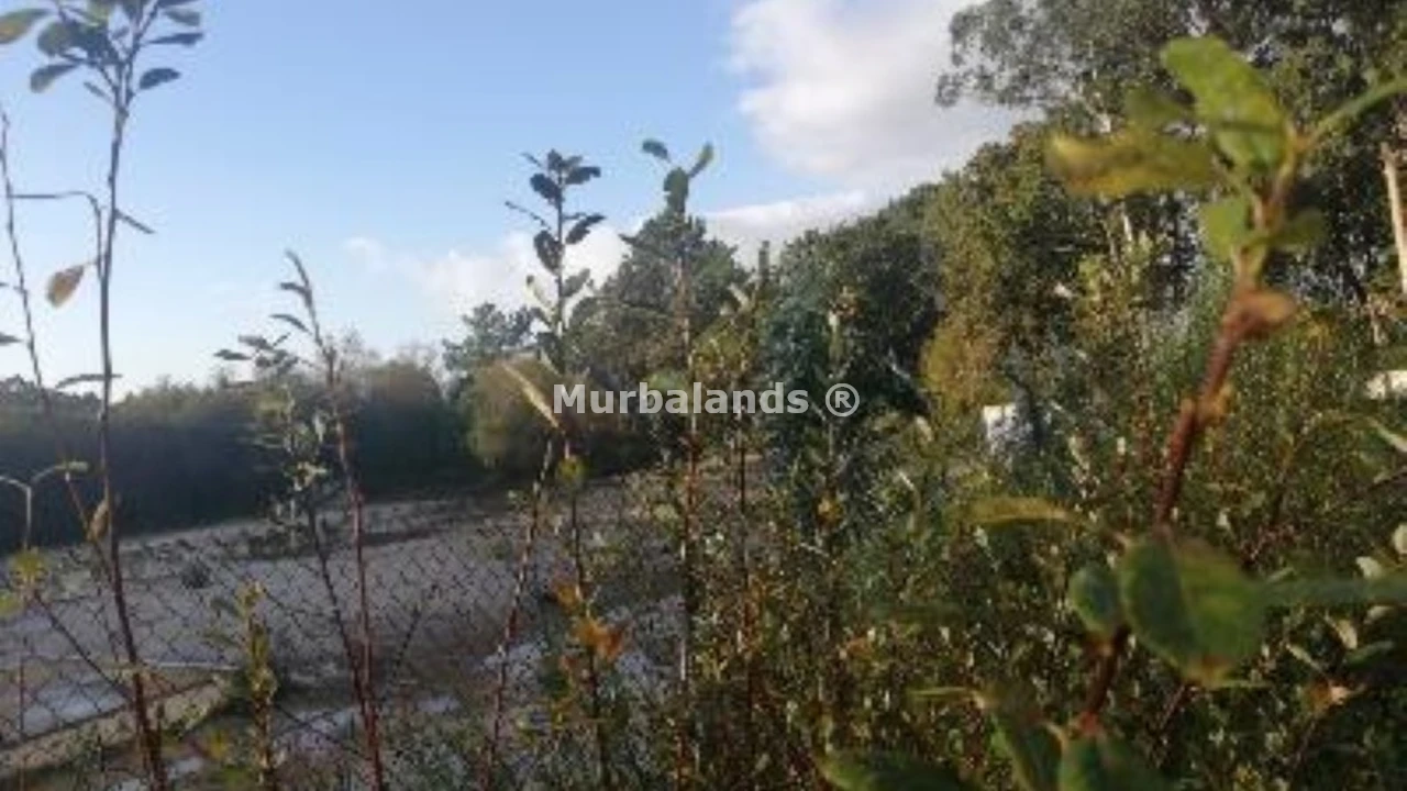 Foto de un terreno o una obra parada para mostrar en el detalle del inmueble