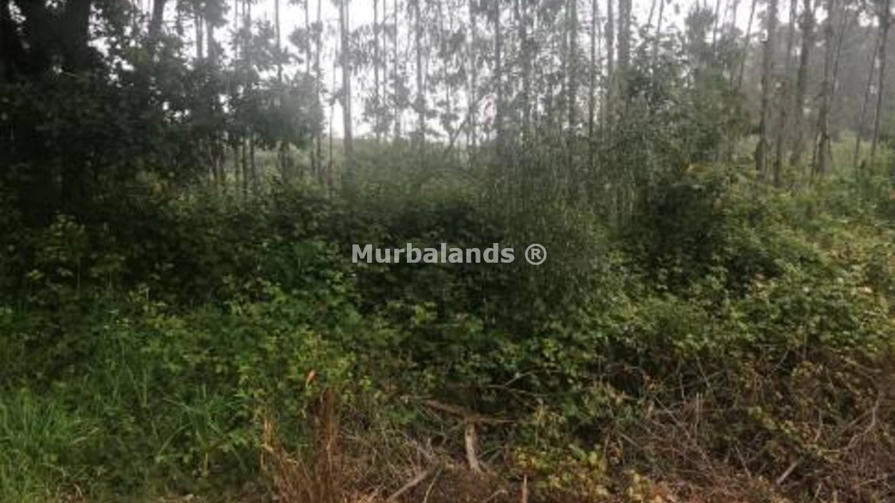 Foto de un terreno o una obra parada para mostrar en el detalle del inmueble