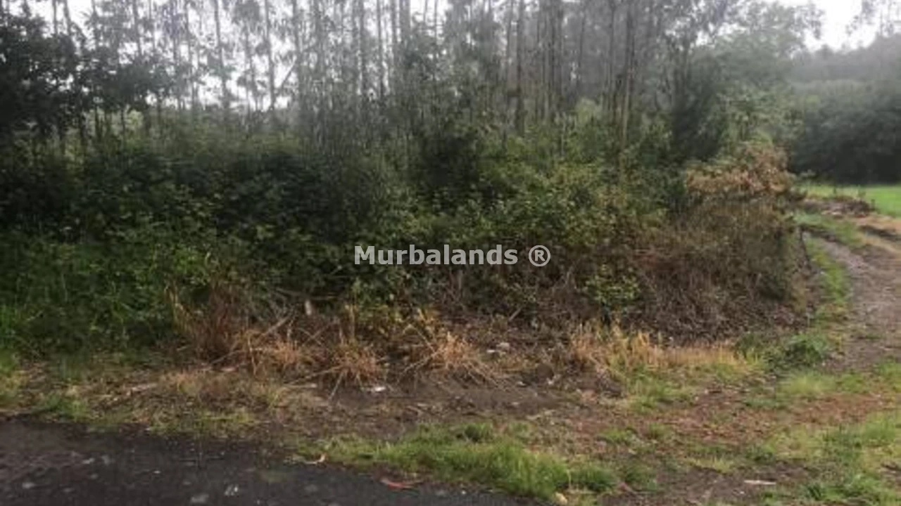 Foto de un terreno o una obra parada para mostrar en el detalle del inmueble