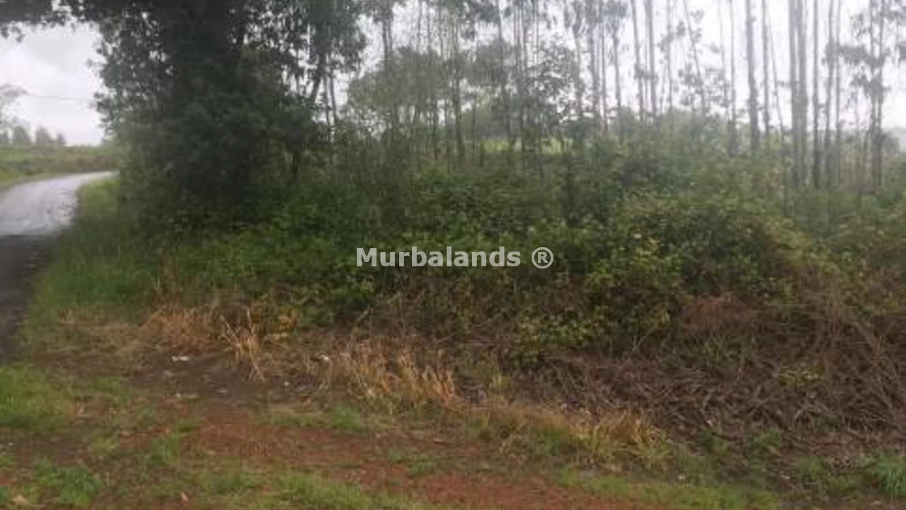 Terreno destacado