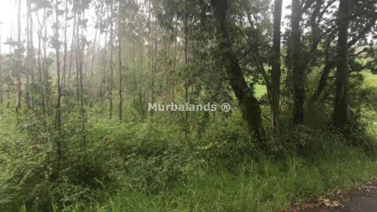 Foto de un terreno o una obra parada para mostrar en el detalle del inmueble
