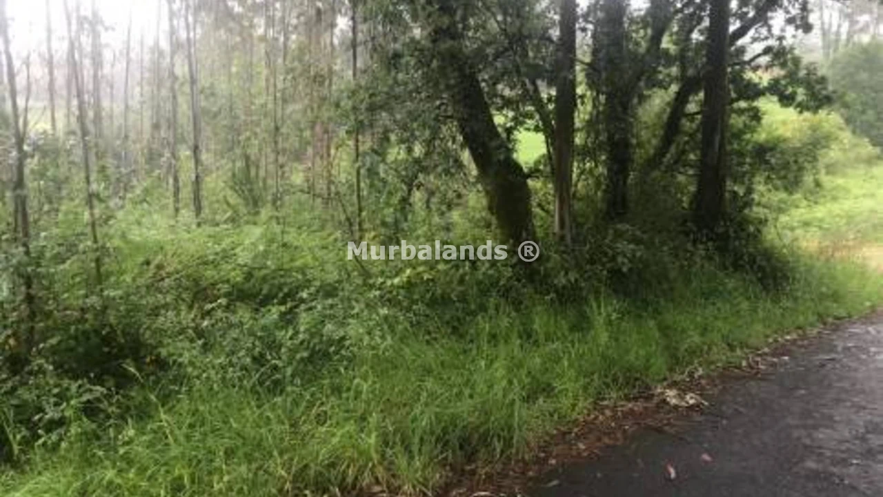 Foto de un terreno o una obra parada para mostrar en el detalle del inmueble